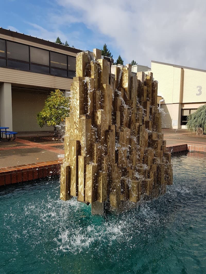 Photo by Sing PaPa (Google)