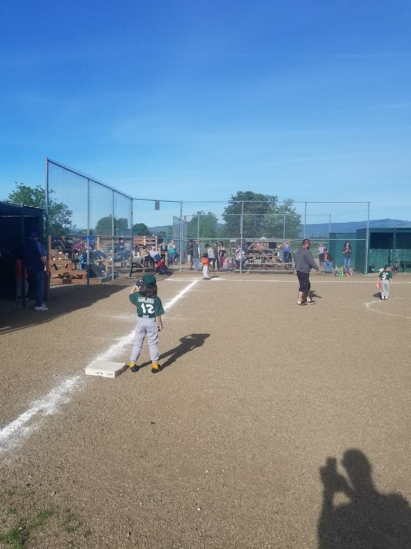 Photo by Eean Levin (Google)