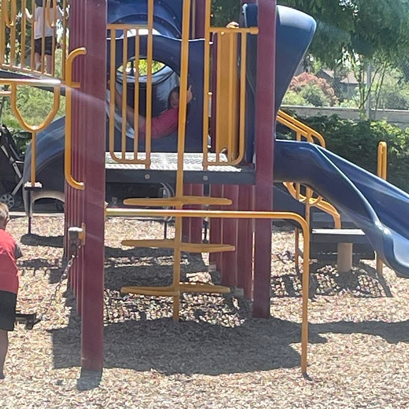 Photo by Andrea kalpakoff (Google)