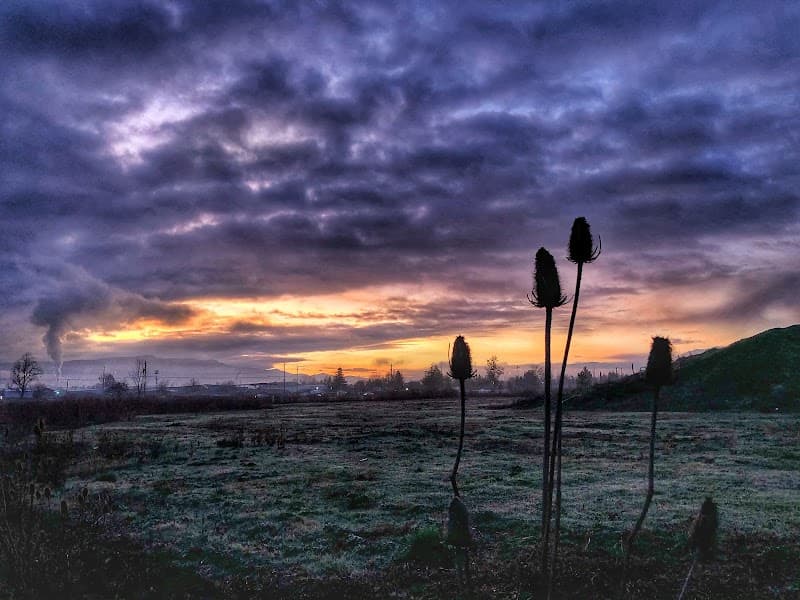 Howard Memorial Sports Park