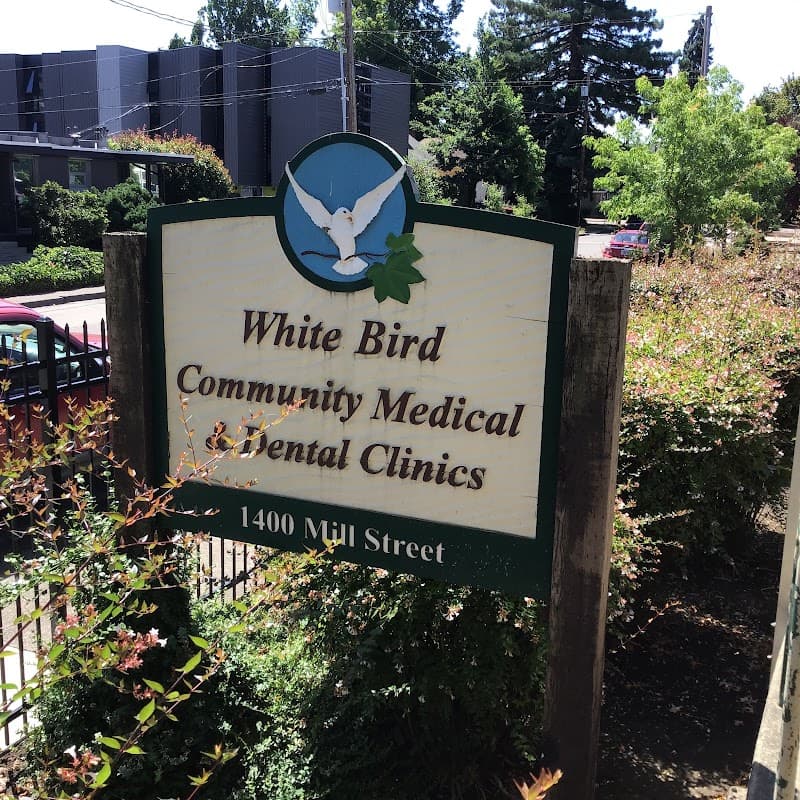 Photo by Eliman Gibba (Google)