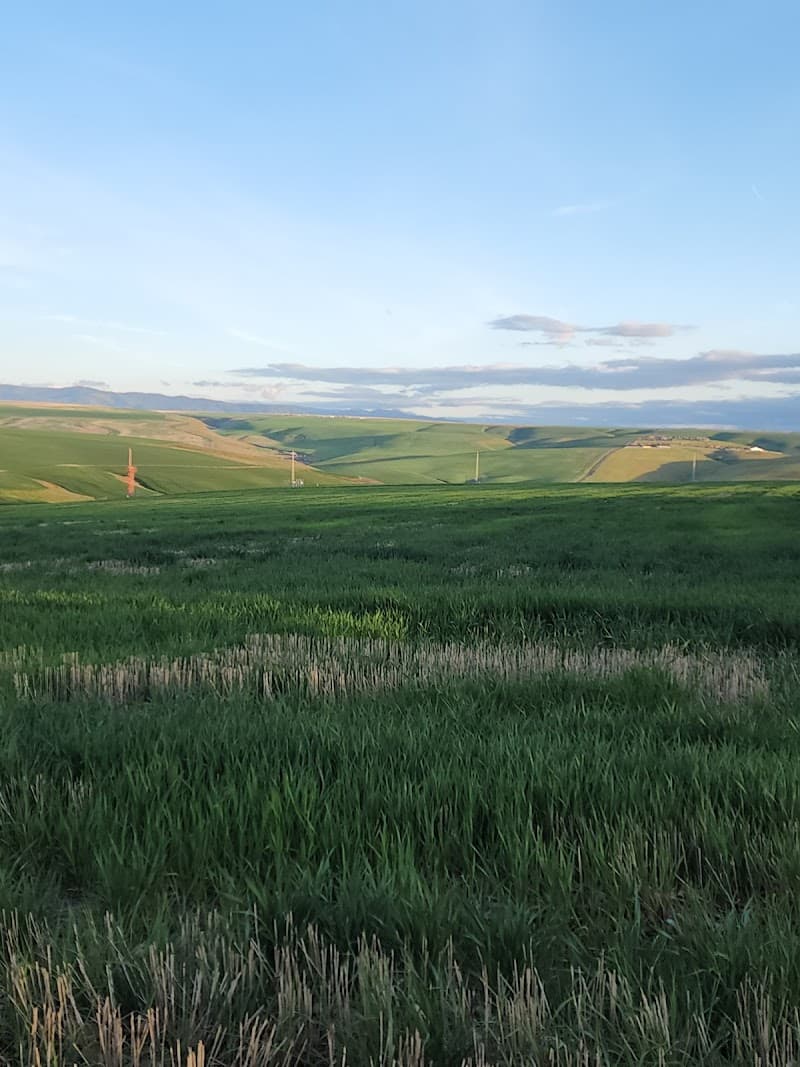 Photo by Brent Gifford (Google)