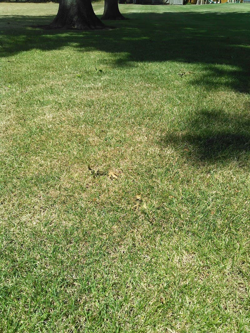 Photo by Jalene. Hettinger (Google)