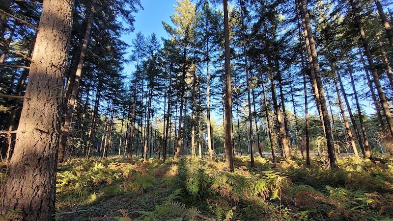 Photo by Gary Walter (Google)