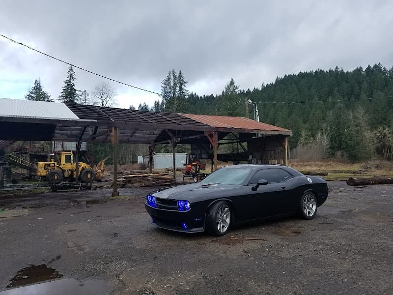 Photo by steve prow (Google)