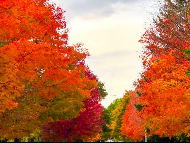 Photo by Gh (Google)