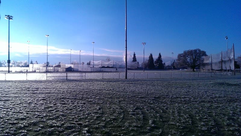 Photo by Mike (Google)