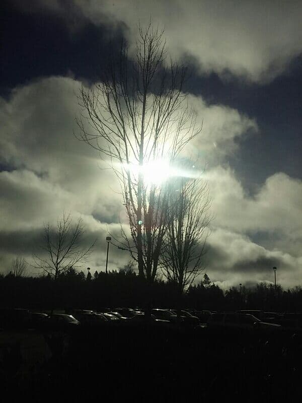 Cottage Grove High School