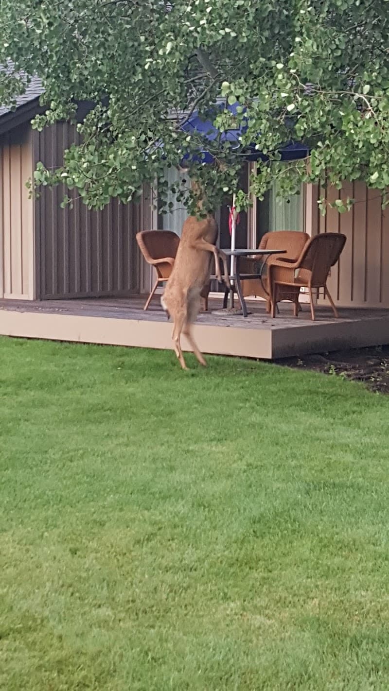 Quelah Condo Guest Courts