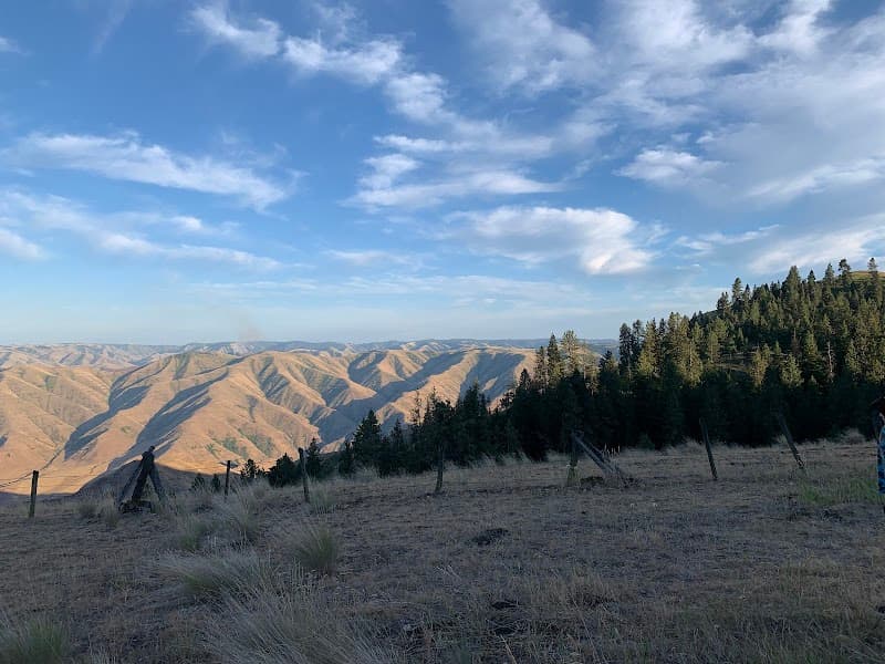 Photo by zach r (Google)