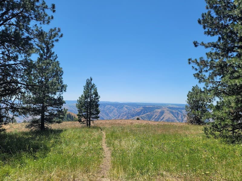 Fields Spring State Park