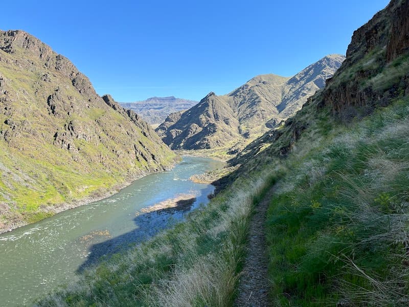 Photo by Alicia Gray (Google)