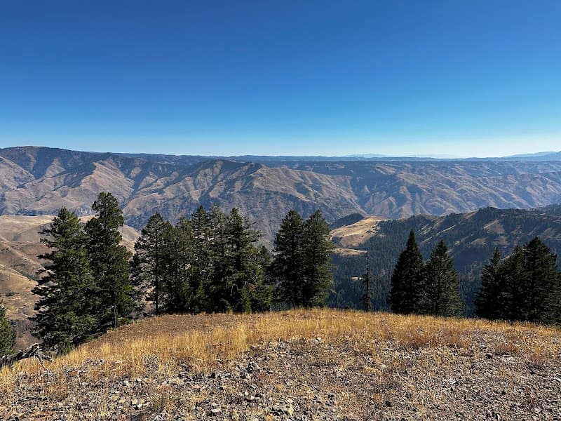 Photo by Dalton Bamburg (Google)